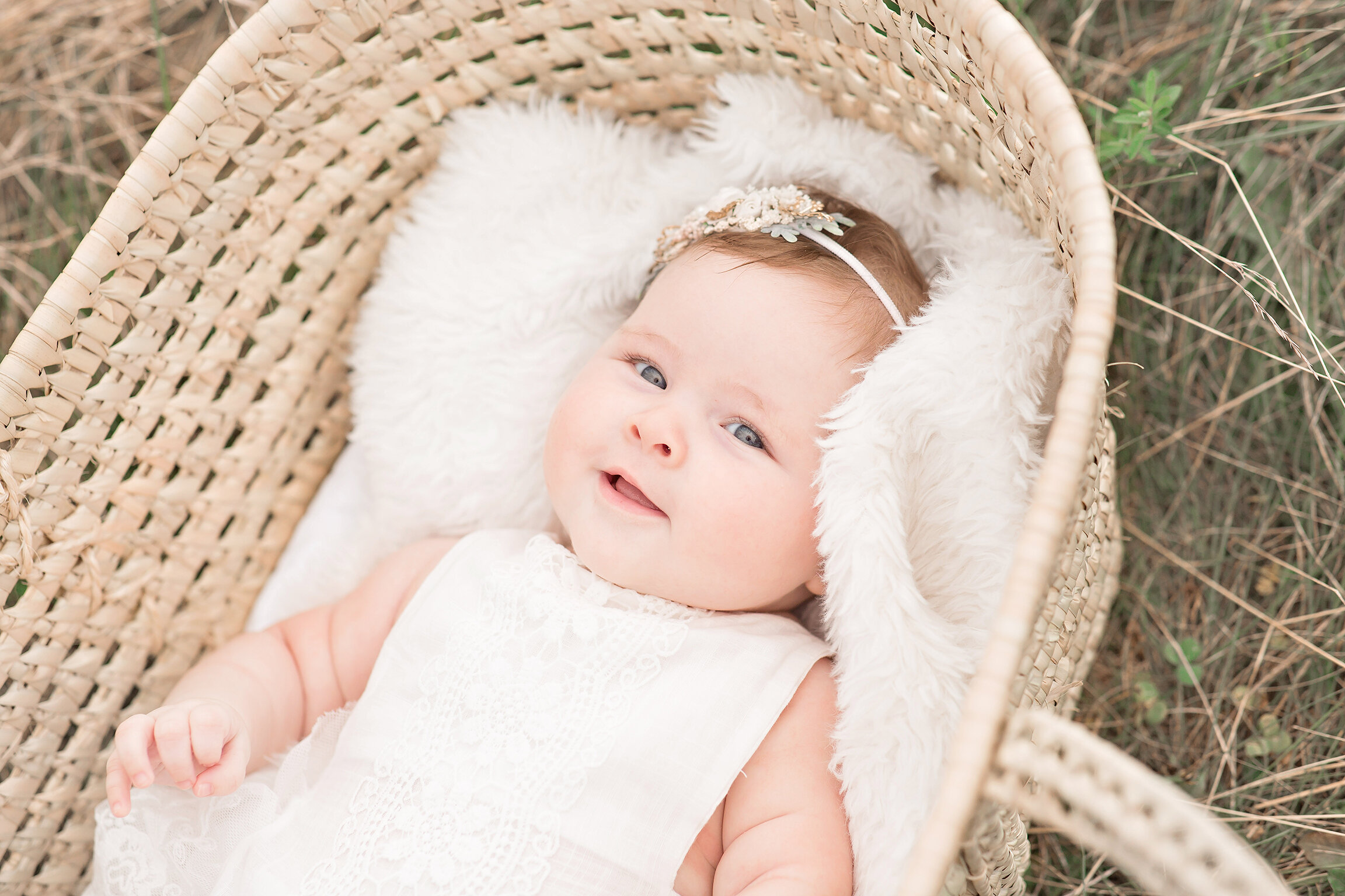 baby in moses basket newtown pa newborn photographer