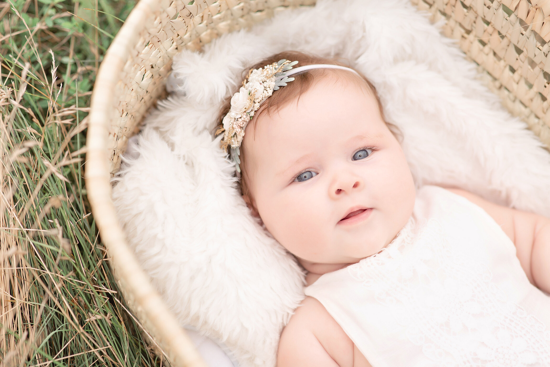 philadelphia newborn photographer baby in basket.