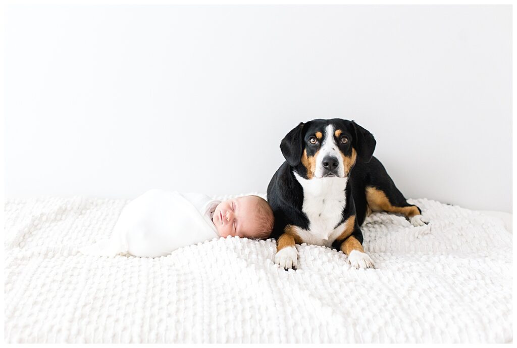 baby boy with puppy newborn photo