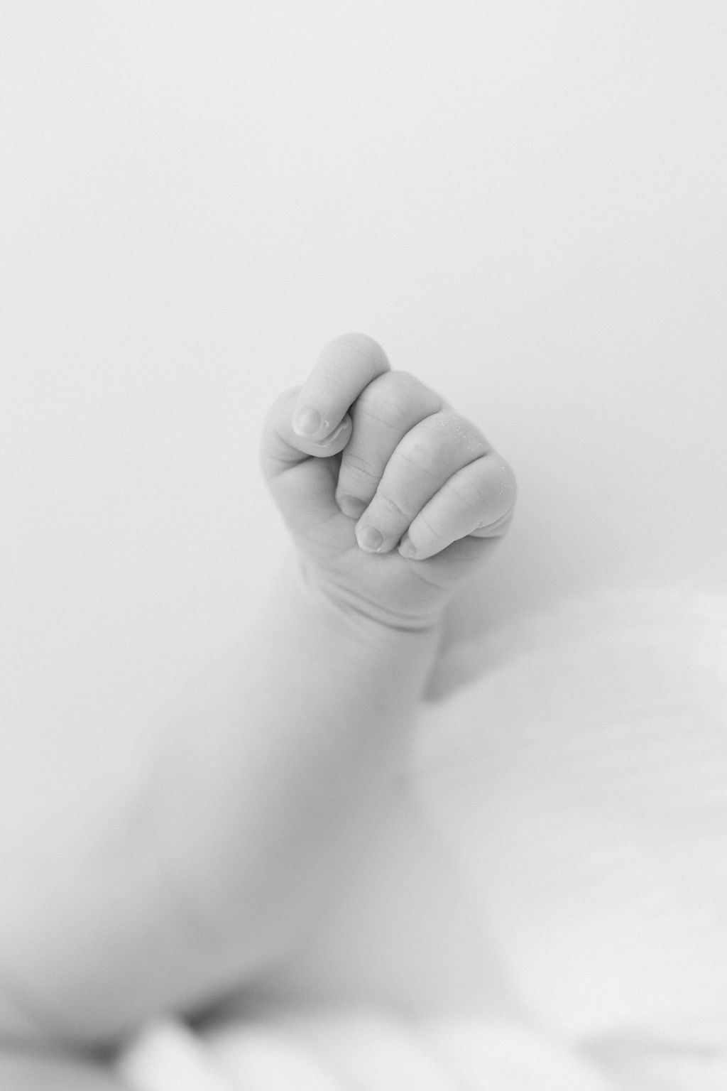 Details of a newborn baby's hand in a fist