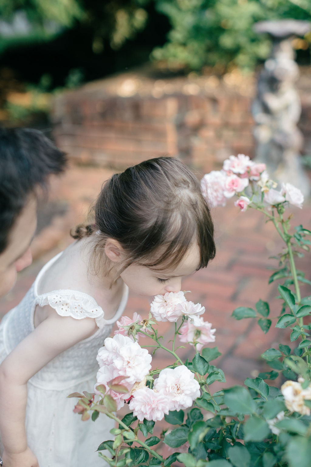 A toddler girl smells a pink rose in a garden while wearing a white dress