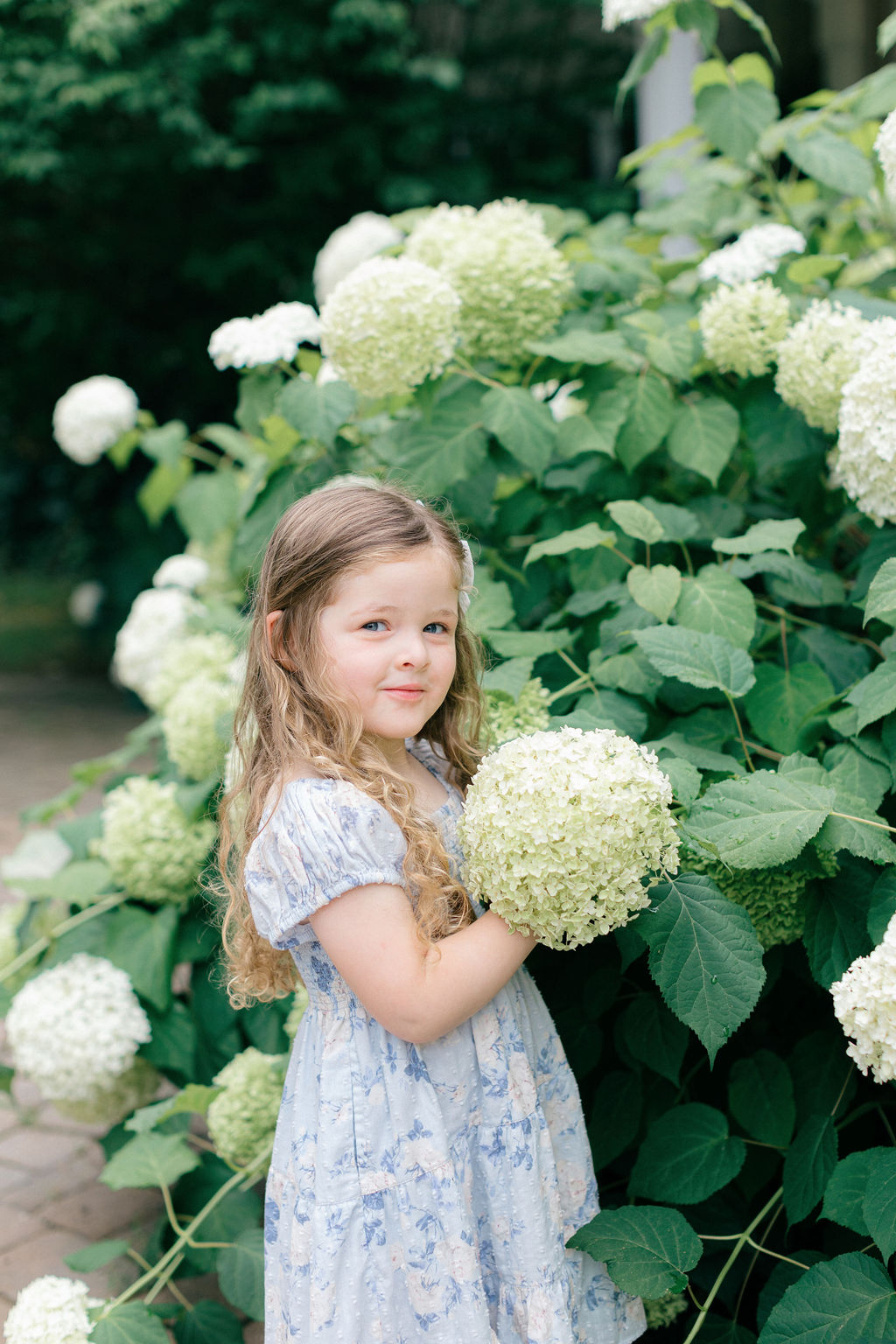 A young girl explores a garden with large white flowers in a blue dress