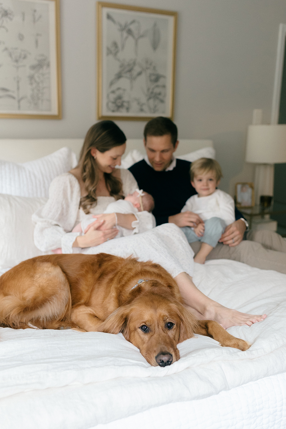 dog on bed with family holding newborn