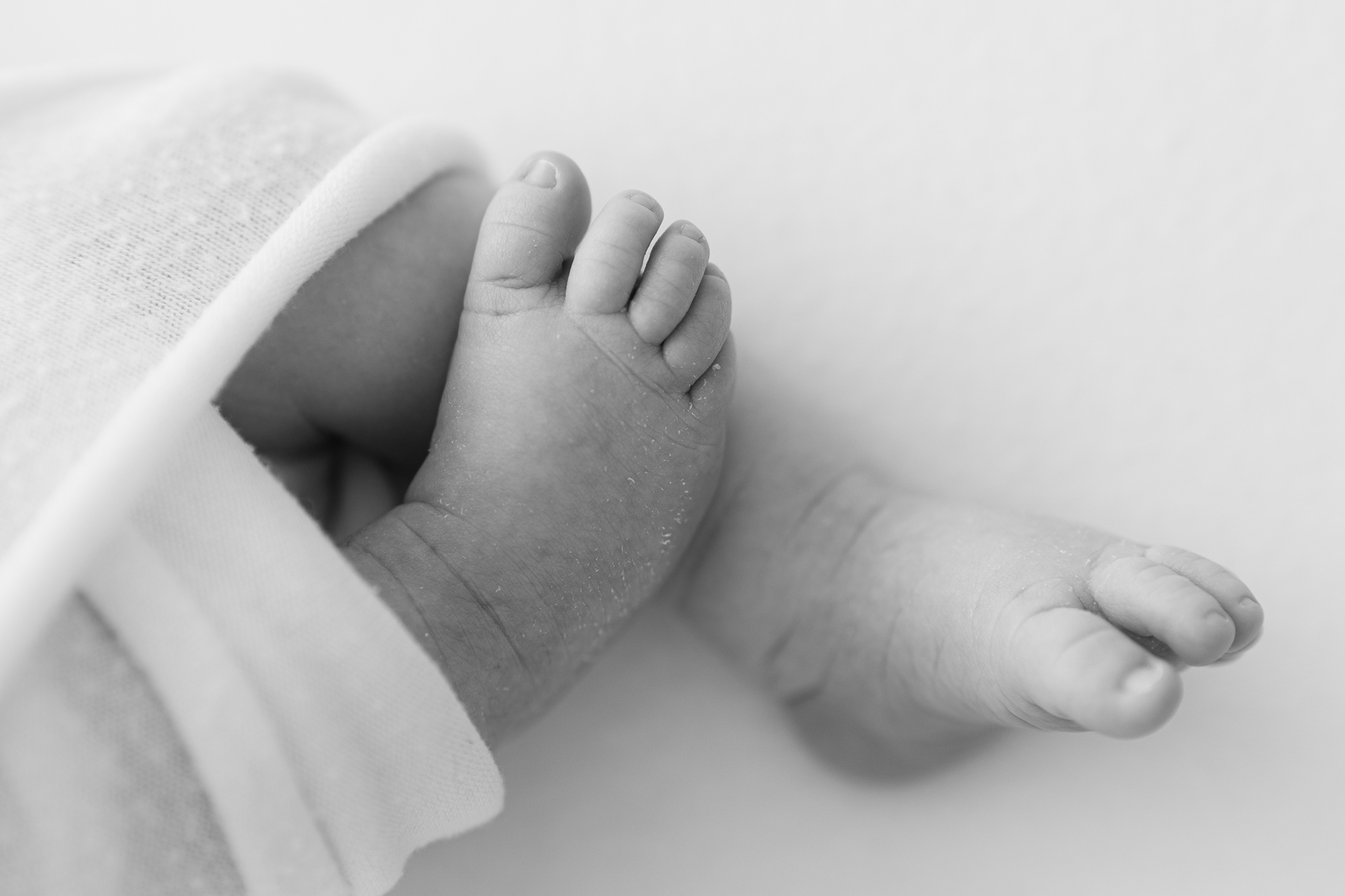 newborn feet details philadelphia photographer